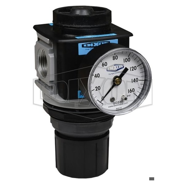 Wilkerson by Self-Relieving Standard Regulator with GC230 Gauge, 3/8 in NPT/BSPP-G, 162 SCFM Flow Ra